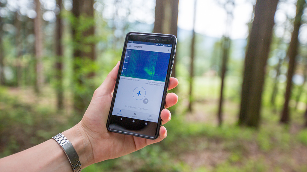 BirdNET app header